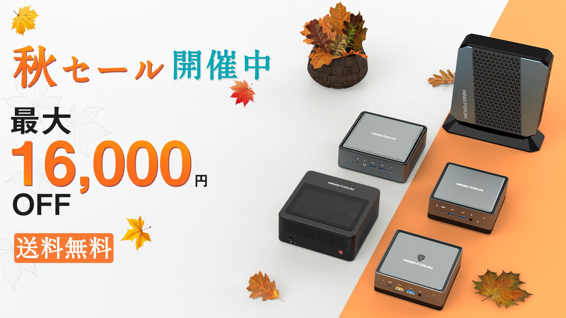 Autumn Sale